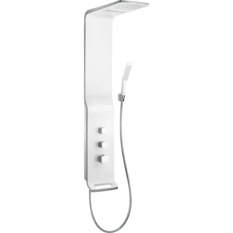 Reapris Hansgrohe Raindance Lift Duschpanel